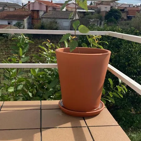 Pansiyon Fonte Do Mouchao